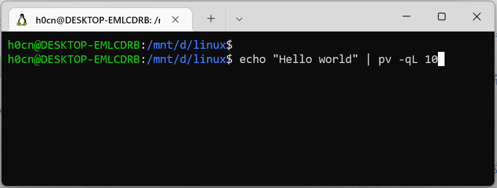 Linux终端模拟打字（逐字符显示）