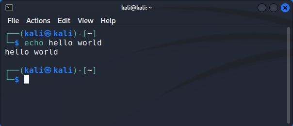 Kali terminal with two-line display