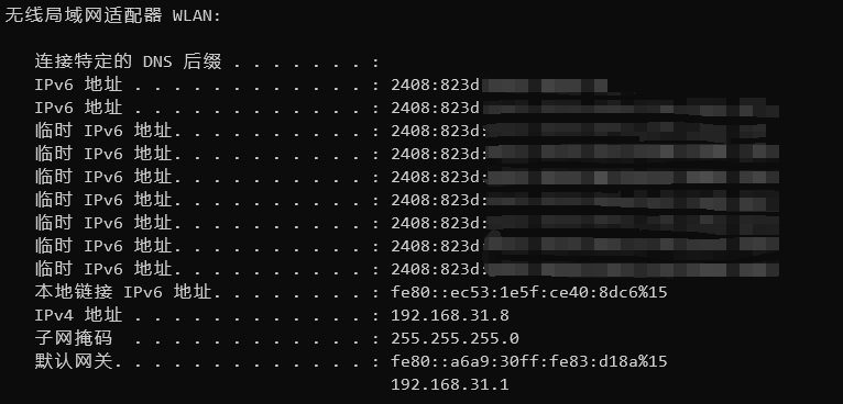 查询IPv6地址